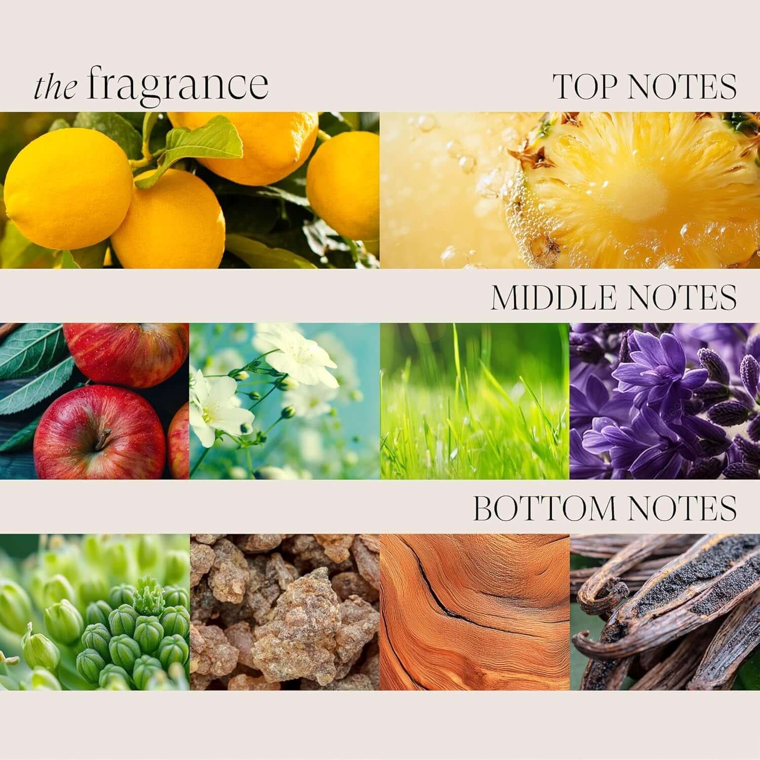 L'ANZA Healing Colorcare Colour-Preserving Trauma Treatment, 50 Ml