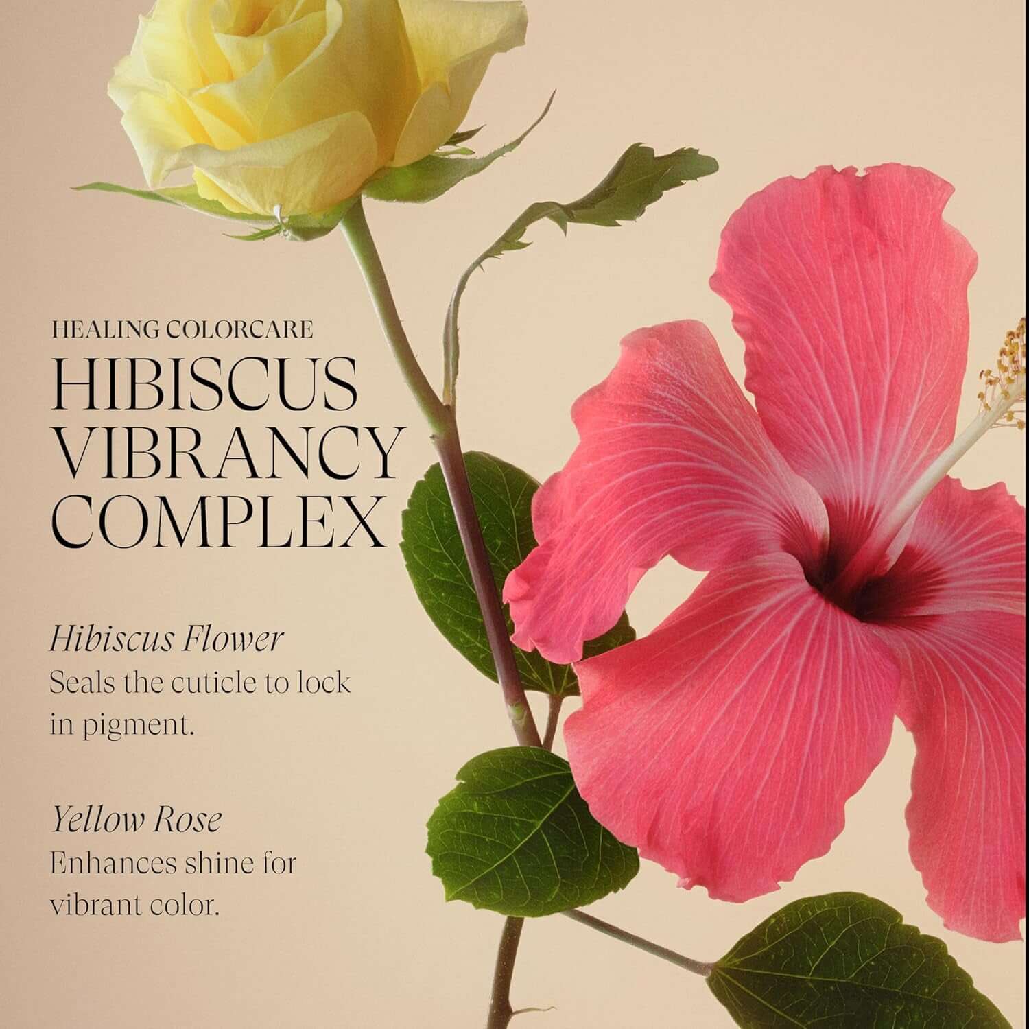 L'ANZA Healing Colorcare Colour-Preserving Trauma Treatment, 50 Ml